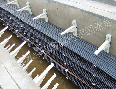 ��|���֧��