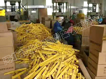 ģ����|֧��